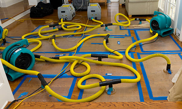 Professional Emergency Water Removal technician working in Russells Point, OH